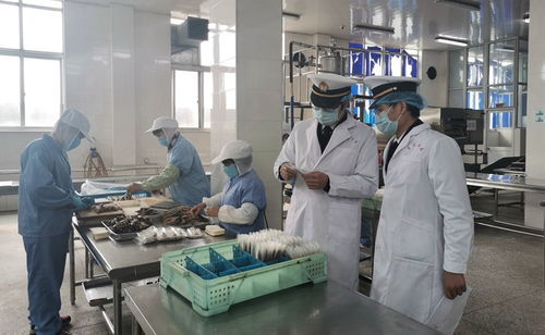 強化線上服務，鎮海海關護航食品農產品出口